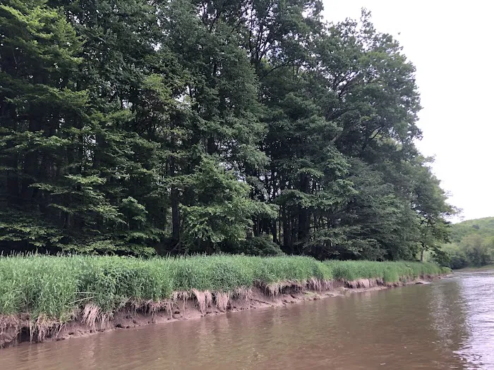 Marlowe's Scenic River Campground Picture 9