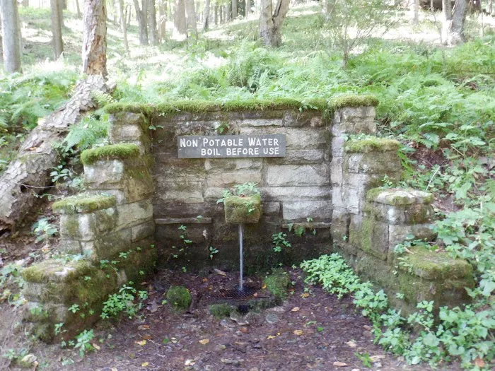 Danner campground Picture 9