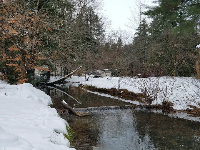 Hemlock Campground of Potter County Picture 1