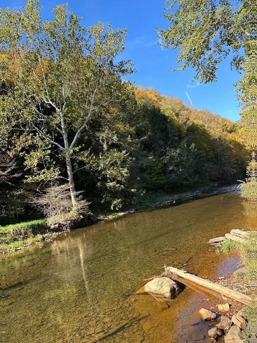 Hemlock Campground of Potter County Picture 9