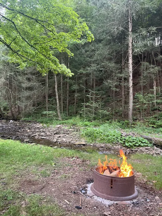 Austin Campground Picture 2