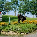 Quiet Oaks Campground