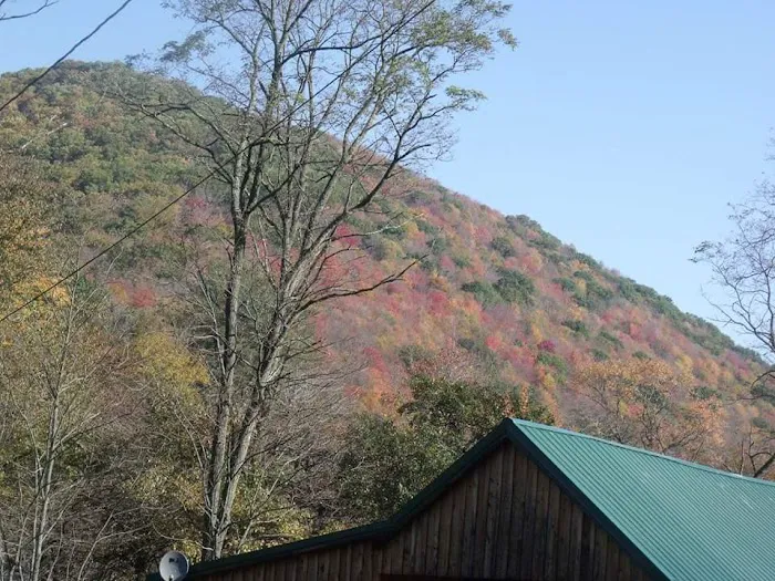 Marvin Run Campground Picture 2
