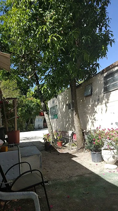 Melaleuca Trailer Park Picture 4