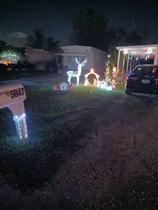 Kokomo Picture 1