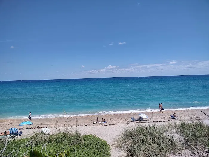 Palm Beach Plantation Mobile Home Community Picture 5
