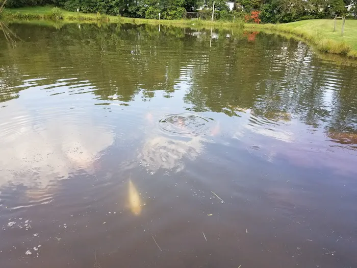 Hershey Conewago Campground Picture 4