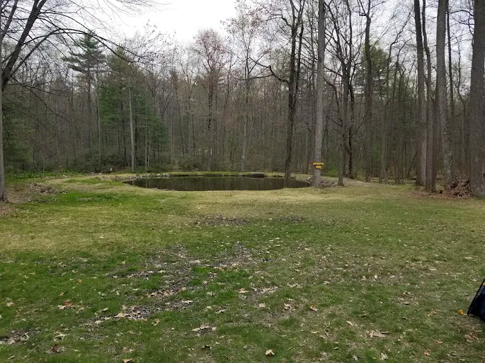 Camp Pioneer Picture 1