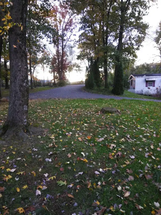 Regent Acres Mobile Home Park Picture 1