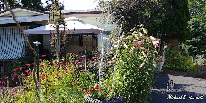 Regent Acres Mobile Home Park Picture 8