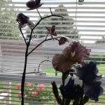 Triple J Mobile Home Park