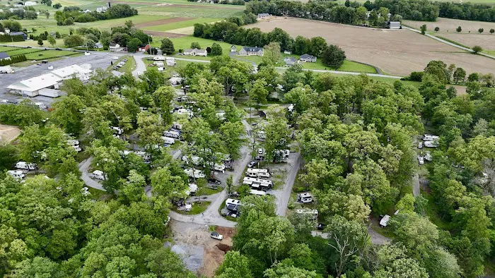 White Oak Campground Picture 5