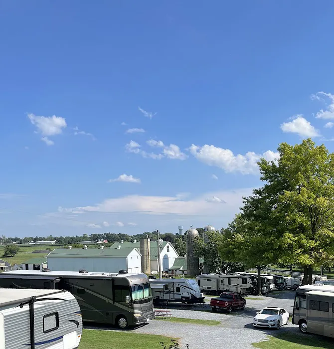 Beacon Hill Camping Picture 4
