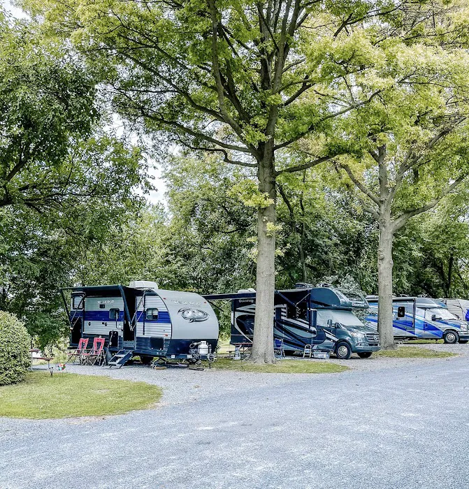 Beacon Hill Camping Picture 6
