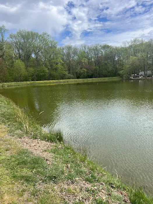Four Seasons Family Campground Picture 5
