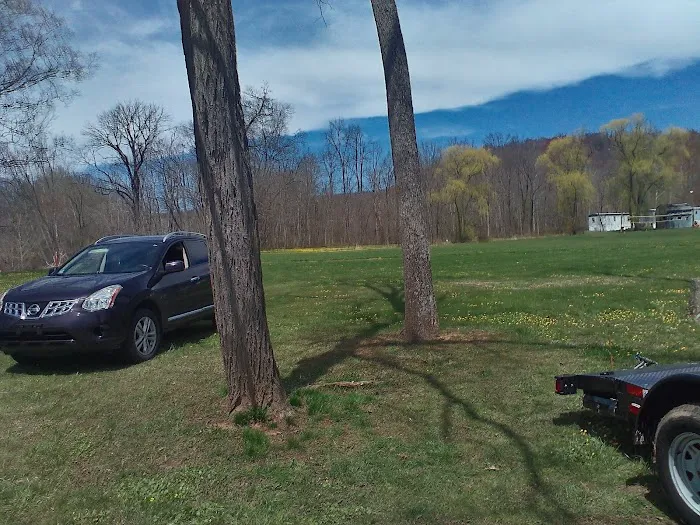 Lupfer's Grove & Campground Picture 3