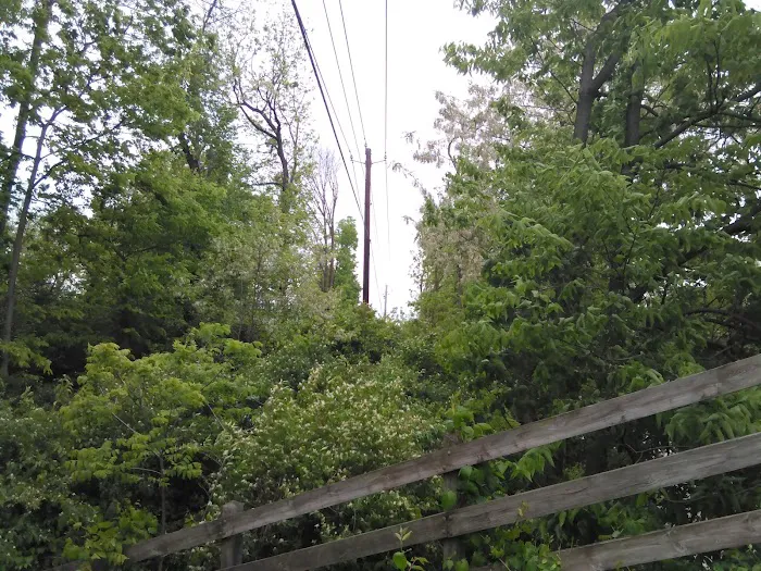 Regency Mobile Home Parks Picture 1