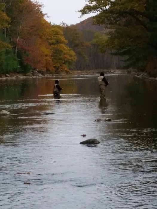 Hemlock Acres Campground Picture 2