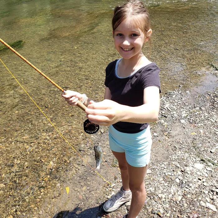 Hemlock Acres Campground Picture 7