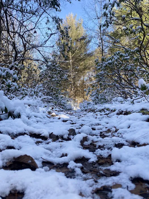 Hemlock Acres Campground Picture 4