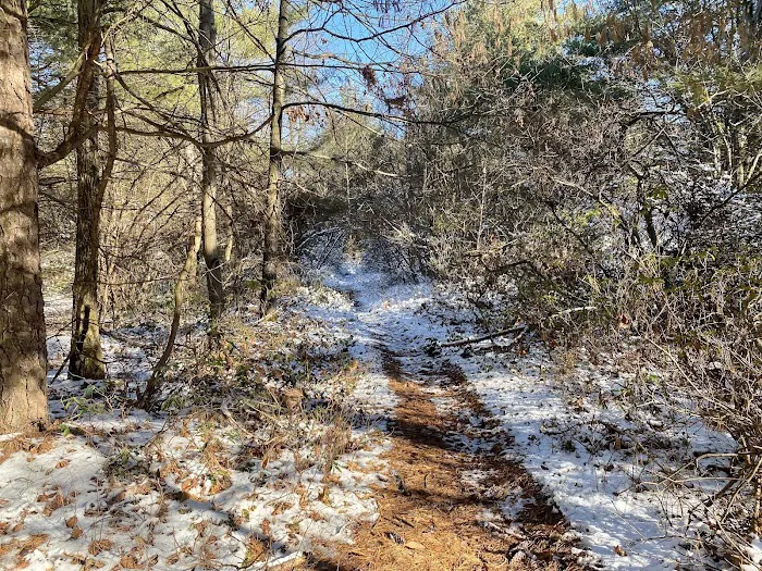 Hemlock Acres Campground Picture 6