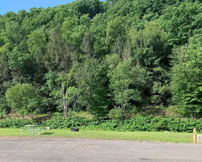 Ridgway Mills Campsites Picture 2