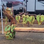 Ridgway Chainsaw Carving Rndzv