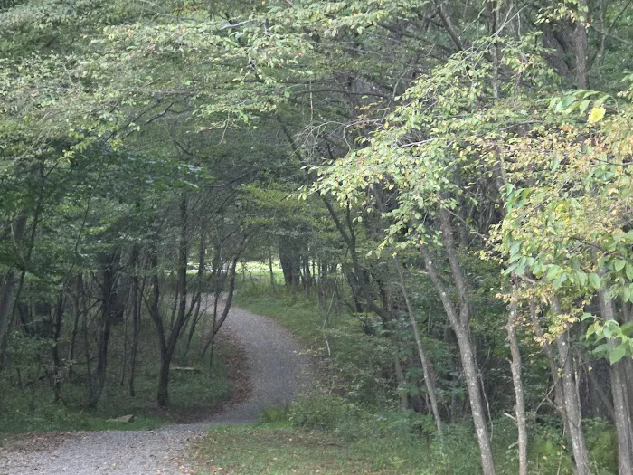 Twin Lakes Recreation Area Upper Campground Picture 7