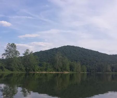 Lou's Camp