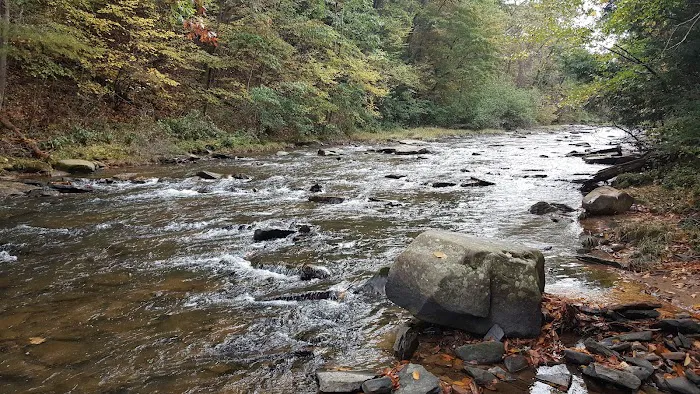 Hemlock Point Campground Picture 2