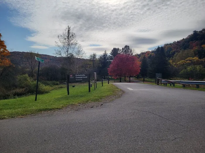 Kellettville Recreation Area Campground Picture 9