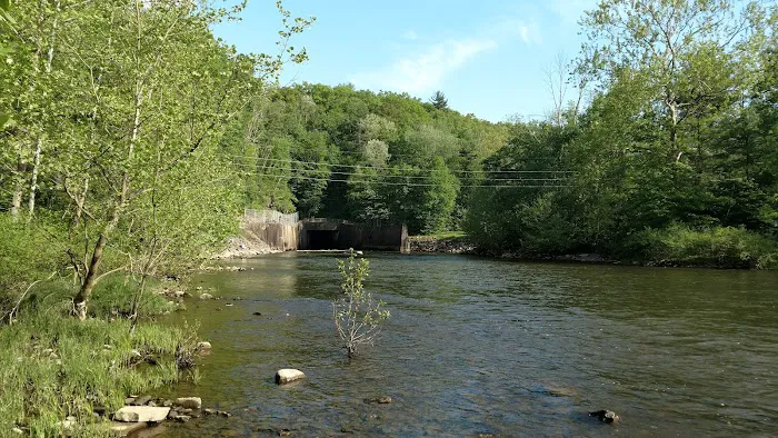 Outflow Recreation Area Campground Picture 4