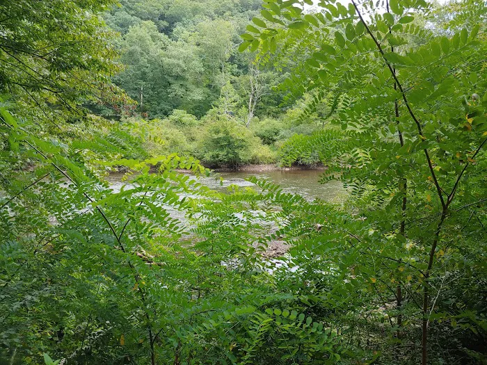 Outflow Recreation Area Campground Picture 10