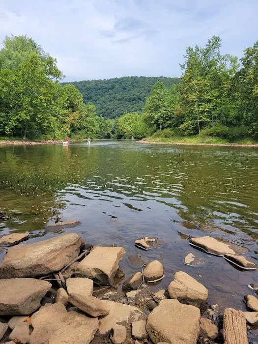 Tionesta Recreation Area Campground Picture 8