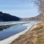 Kibbe's Island Park Campground