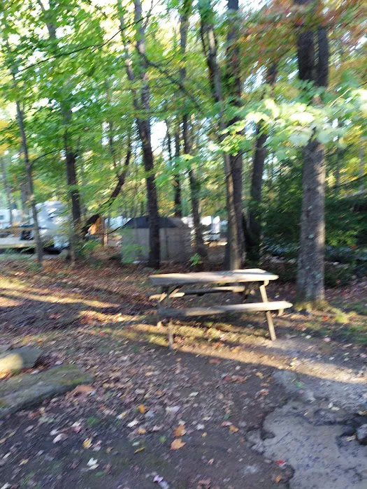Lake Arthur Family Campground Picture 3