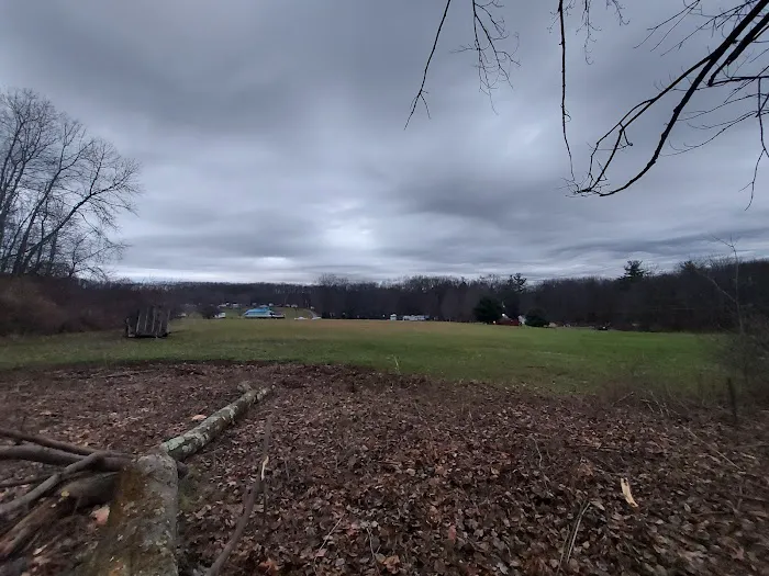 Lake Arthur Family Campground Picture 4
