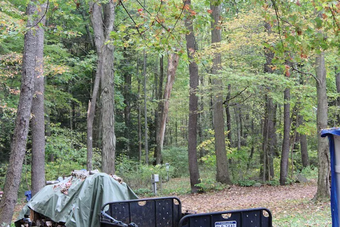 Lake Arthur Family Campground Picture 6