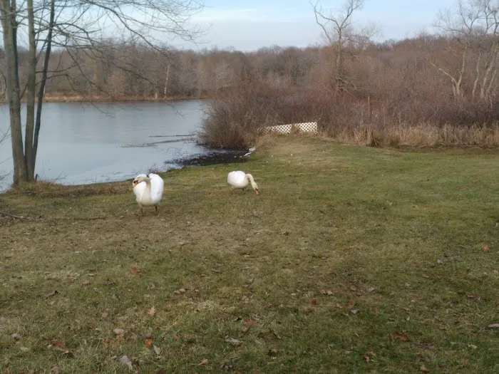 Glen Lake Estates Picture 1
