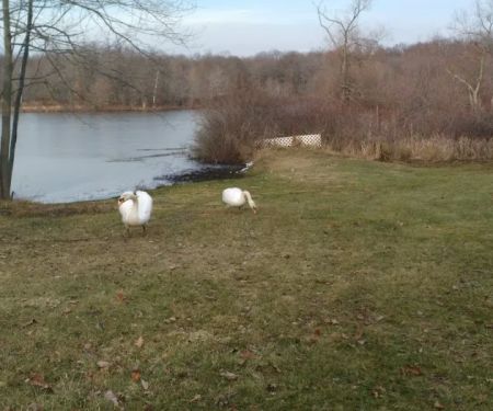 Glen Lake Estates