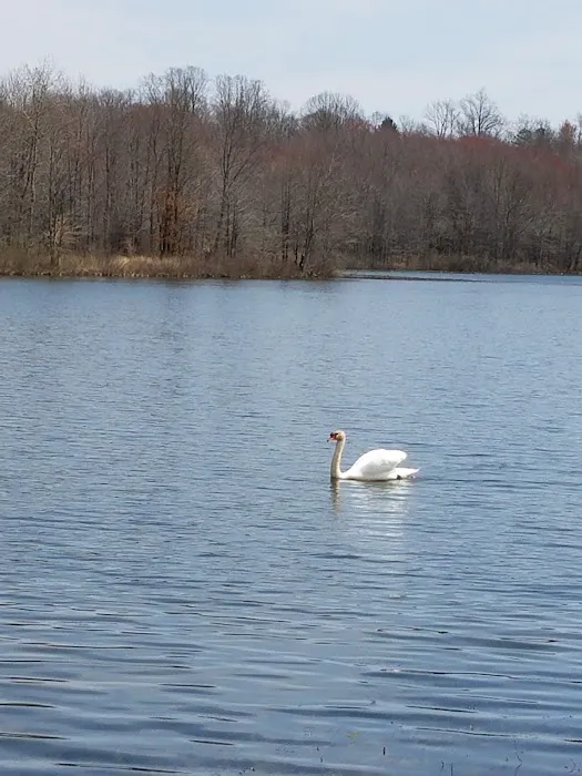 Glen Lake Estates Picture 10