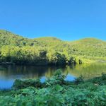 Sons and Daughters of Italy Campground