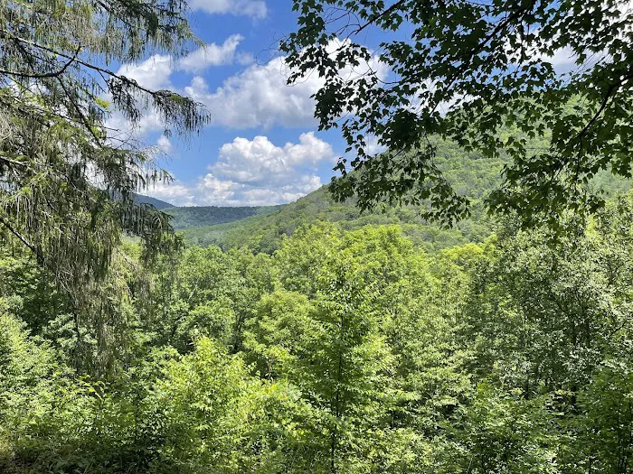 Ole Bull State Park Picture 5