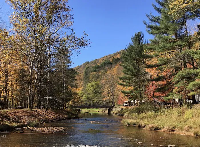 Ole Bull State Park Picture 9