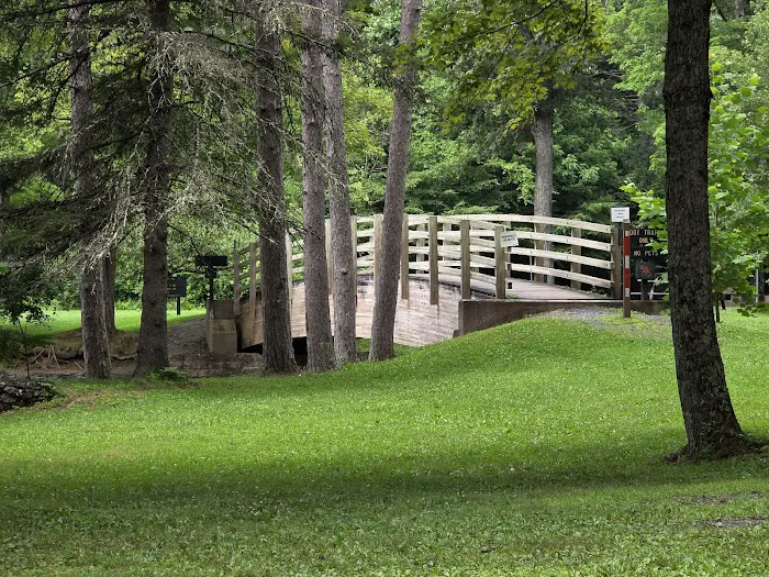 Ole Bull State Park Picture 3
