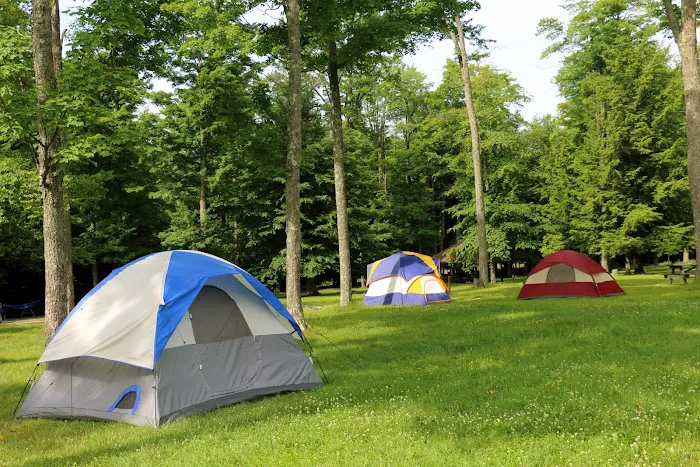 Cherry Springs State Park Rustic Campground Picture 2