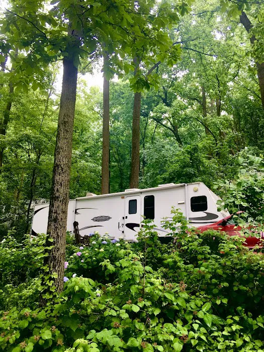 The Loose Caboose Campground Picture 4