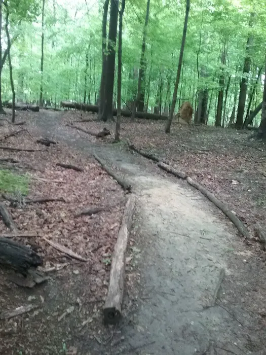 Meadowbrook Mobile Home Park Picture 4