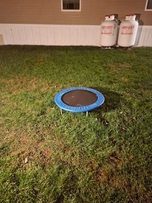 Palm City Park Picture 7