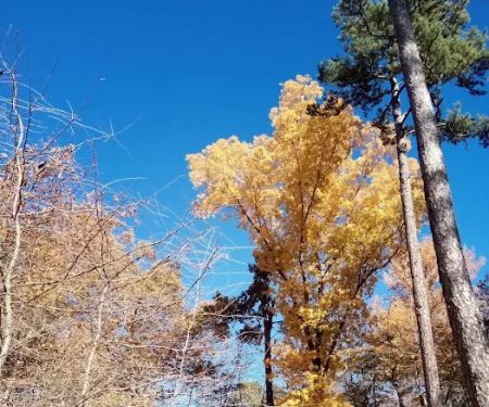 Jaggers Point Campground